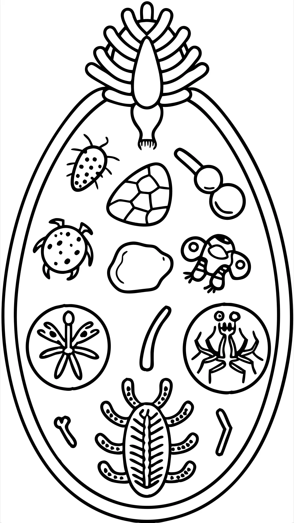 biology coloring book pages